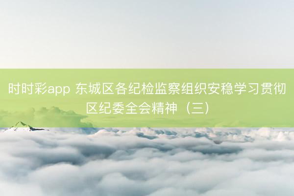 時時彩app 東城區(qū)各紀檢監(jiān)察組織安穩(wěn)學習貫徹區(qū)紀委全會精神（三）