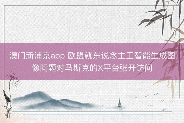 澳門新浦京app 歐盟就東說念主工智能生成圖像問題對馬斯克的X平臺張開訪問