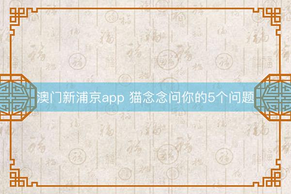 澳門(mén)新浦京app 貓念念問(wèn)你的5個(gè)問(wèn)題