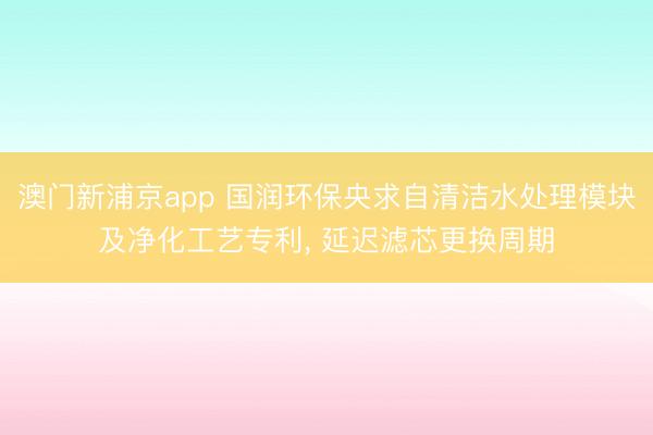 澳門新浦京app 國潤環保央求自清潔水處理模塊及凈化工藝專利, 延遲濾芯更換周期